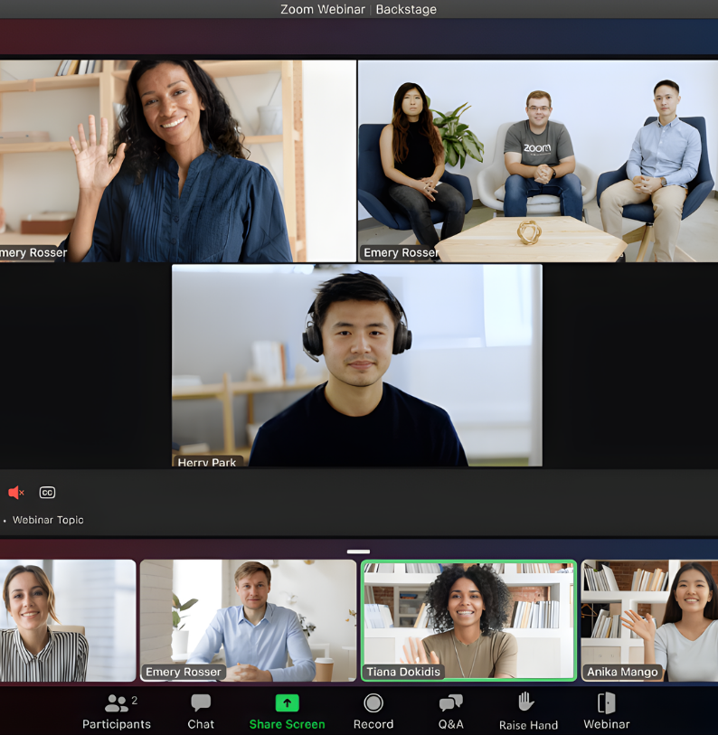 Webinar session